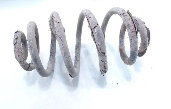 Rear coil spring
