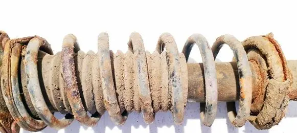 Nissan Micra Front coil spring 