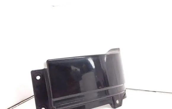 Rear/tail light trim molding