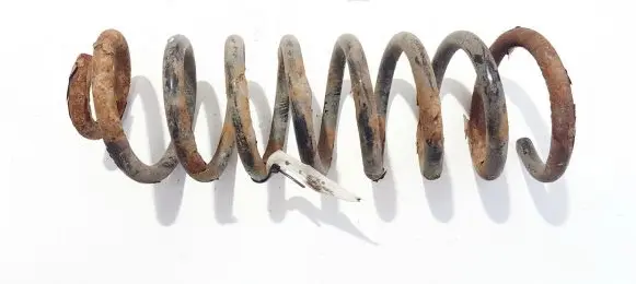 Dacia Sandero Rear coil spring