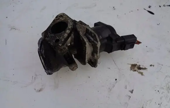 Citroen C4 I Picasso EGR valve