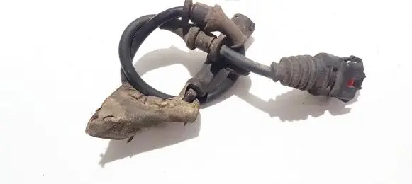 Opel Signum Other wiring loom
