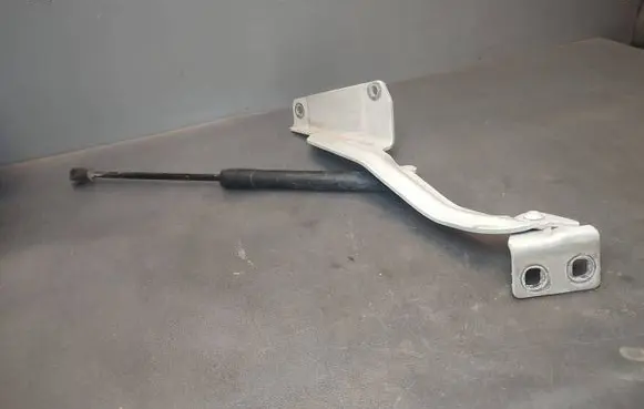 Renault Kangoo II Engine bonnet/hood hinges A4158800128