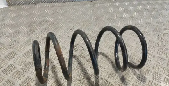 Hyundai Santa Fe Rear coil spring