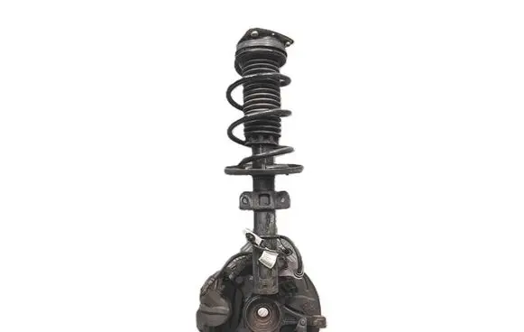 Citroen Berlingo Front shock absorber/damper 9836057980
