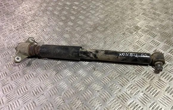 Hyundai Kona I Rear shock absorber/damper 55300K4000