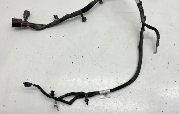 Other wiring loom