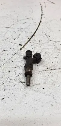 Opel Insignia A Fuel injector 0280158108