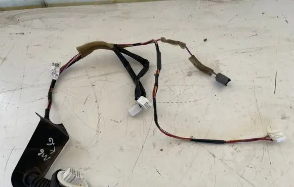 Rear door wiring loom