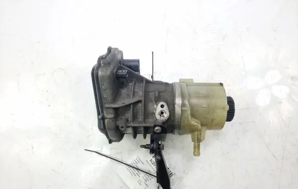 Renault Trafic III (X82) Power steering pump 491100616R