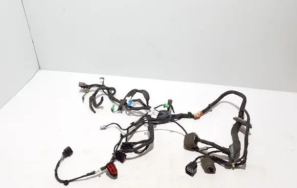 Other wiring loom