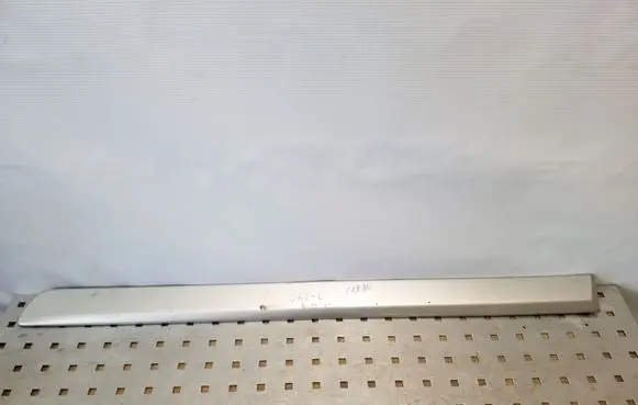 Rear door trim (molding)