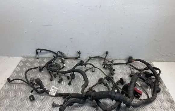 Nissan Juke I F15 Engine installation wiring loom 240111KA2D 28J8013