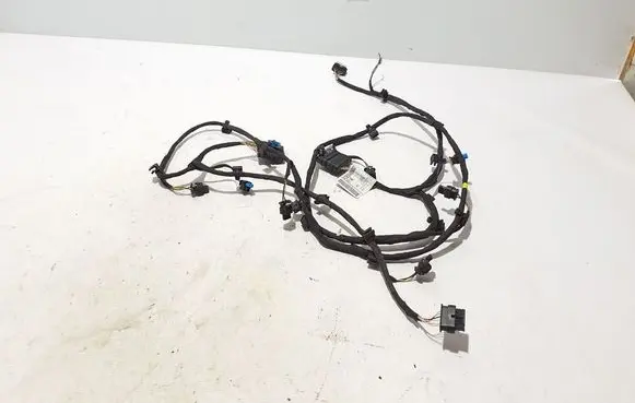 Mercedes-Benz EQS V297 Parking sensor (PDC) wiring loom A2955406007