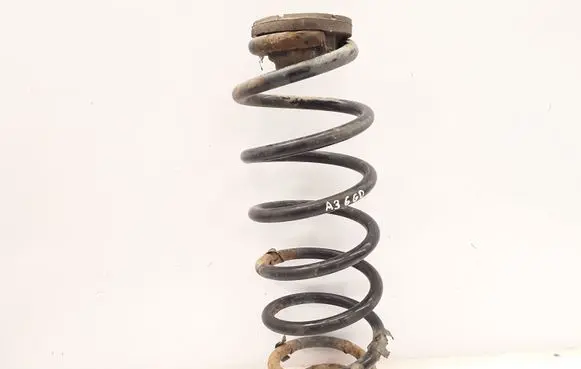 Rear coil spring