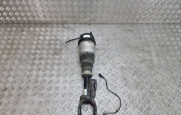 Mercedes-Benz GLE (W166 - C292) Front air suspension shock absorber A1663204166