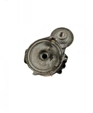 Ford Kuga I Alternator belt tensioner 16183P