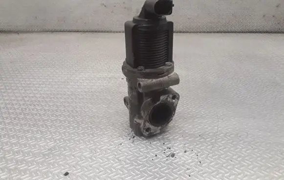 Opel Zafira B EGR valve 50024005