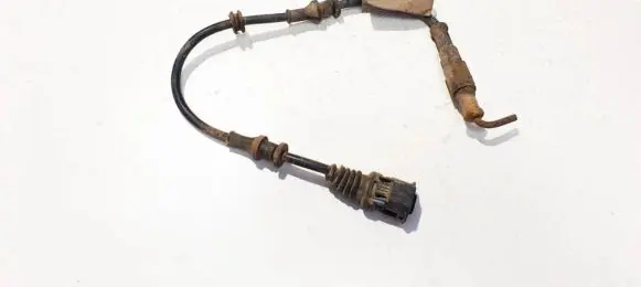 Opel Signum Other wiring loom 24418887
