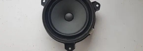 Toyota RAV 4 (XA40) Rear door speaker