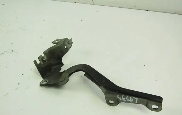 Renault Laguna III Engine bonnet/hood hinges 654010001R