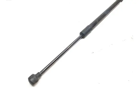 Tailgate/trunk strut/damper