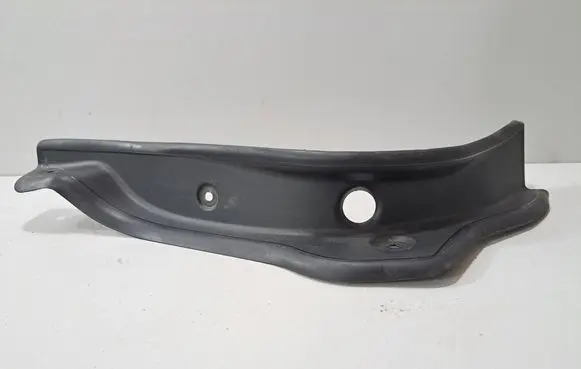 Rear/tail light trim molding