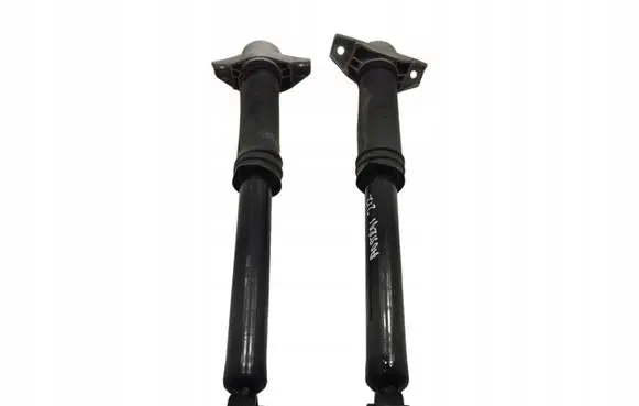 Renault Austral Rear shock absorber/damper 562104234R