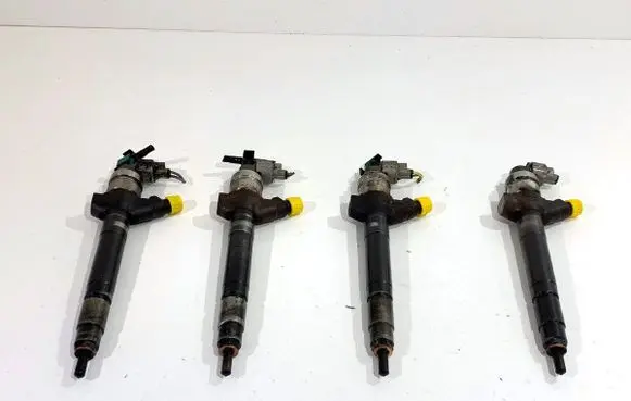 Peugeot Boxer Fuel injectors set 0950005801