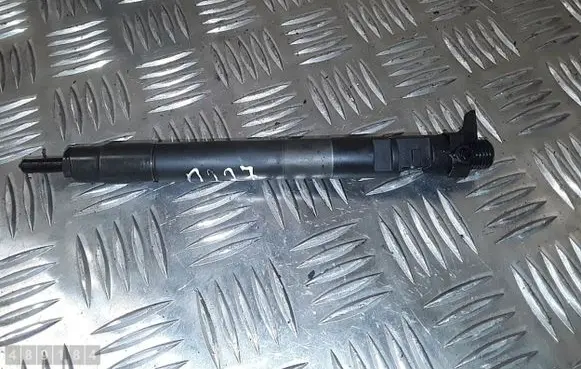 Citroen Jumpy Fuel injector 9686191080