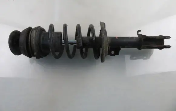 Opel Meriva A Front shock absorber with coil spring DSB175G
