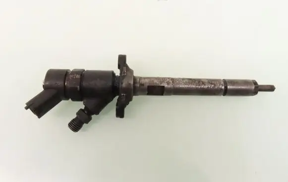 Ford Focus Fuel injector 0445110259