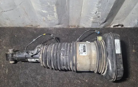 BMW X7 G07 Air suspension rear shock absorber 78315615 19B052CV0250 76686904003