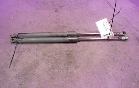 Tailgate strut