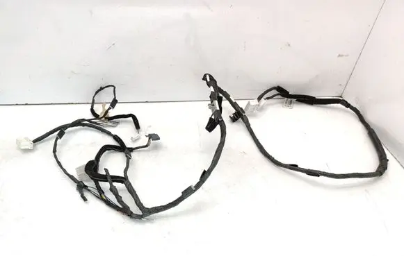 KIA Carnival Other wiring loom 918004D760