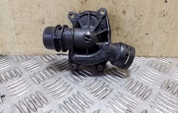Thermostat/thermostat housing