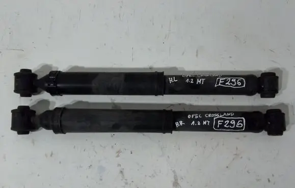 Opel Crossland X Rear shock absorber/damper 9841119080