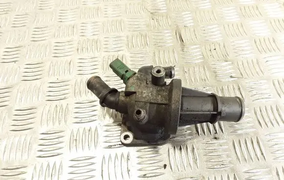 Thermostat/thermostat housing