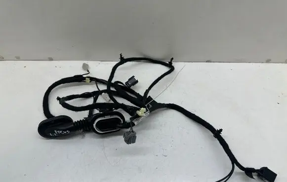 Ford Focus Rear door wiring loom NX6T13412GEDB