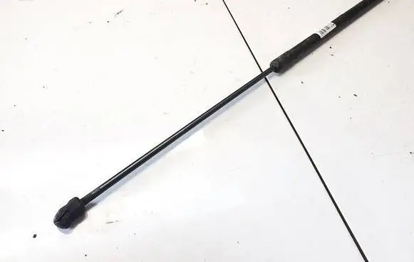 Tailgate/trunk strut/damper