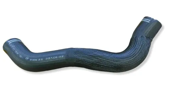 Fiat Ducato Intercooler hose/pipe 6000629320