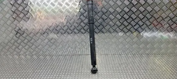 Mercedes-Benz CLA C117 X117 W117 Rear shock absorber/damper S25145037 A1763201931