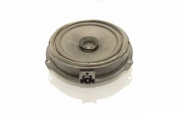 Rear door speaker