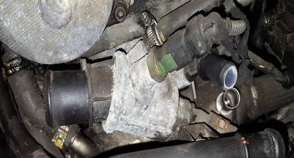 Opel Signum Engine coolant pipe/hose 