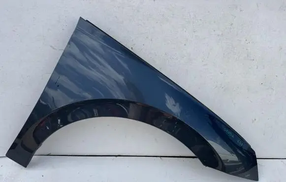 Skoda Scala Fender