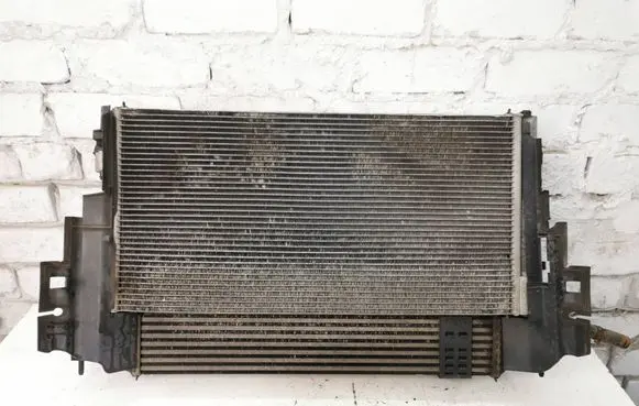 Renault Laguna III Coolant radiator 214109263R X5441007 0000102