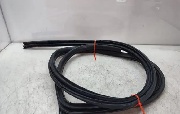 Rear door rubber seal (on body)