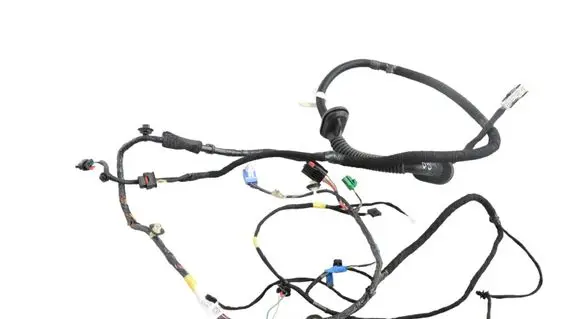 BMW 1 F20 F21 Front door wiring loom 148905202E