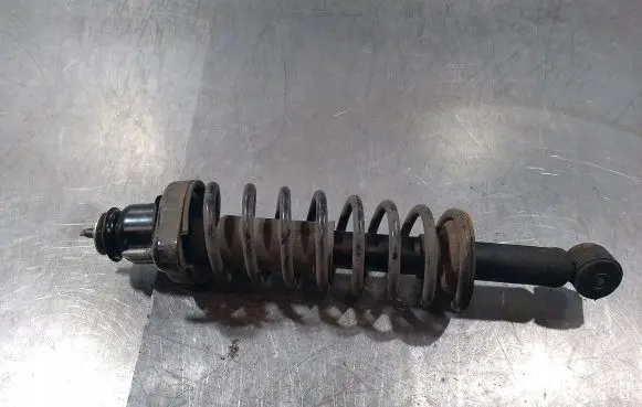 Mitsubishi Lancer VIII Rear shock absorber/damper 4162A207