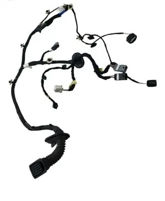 Other wiring loom